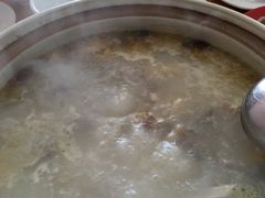 -15年老字号鑫鑫猪肚鸡·椰子鸡海南火锅(兴隆华侨农场店)