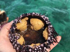 -麦丹岛(麦克坦岛)
