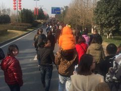-成都大熊猫繁育研究基地