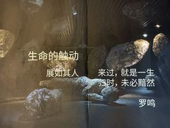 -成都许燎源现代设计艺术博物馆