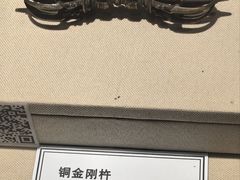 -张掖大佛寺景区