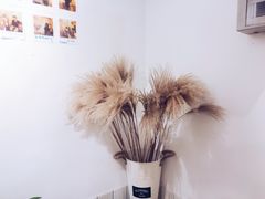 -白日梦奶茶