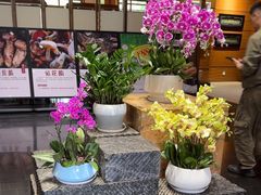 -黔蘑菇四季餐厅(观山湖店)