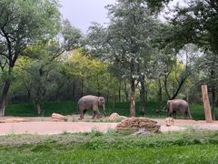 -北京野生动物园