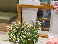 -海底捞火锅(莘松路店)