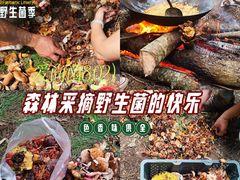 -南屏步行街