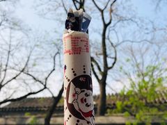 -北京国子监胡同