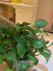 -北京俪婴妇产医院(朝阳大悦城店)