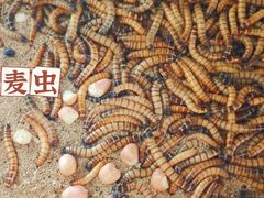 -黎家风味餐厅(锦绣花园店)