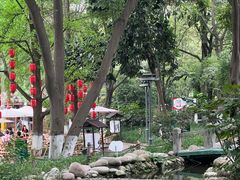 -成都市活水公园
