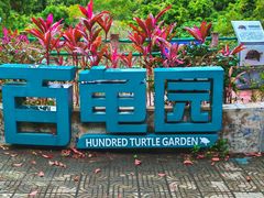 -广东惠东海龟国家级自然保护区