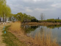 -大兴滨河森林公园