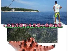 -白沙滩