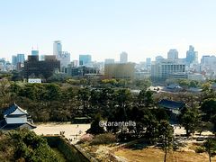 -名古屋城
