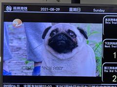 -建设三路(地铁站)