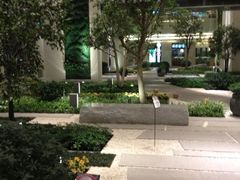 iphone_upload_pic-仁恒美食庭苑