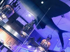 -千岛蚝高压锅生蚝·人参火锅(白云万达店)