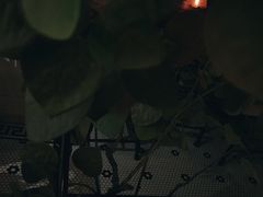 -Catail前苑(前门大街店)