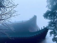 -秦岭天竺山景区