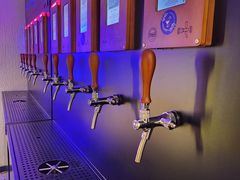 -Sirena海妖日咖夜酒