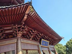 -西湖游船