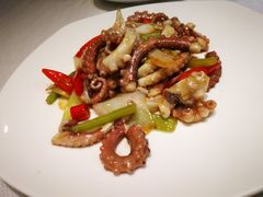 辣炒八爪鱼-东莱海上(长宁来福士店)
