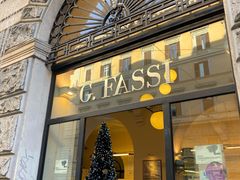 -Fassi 1880
