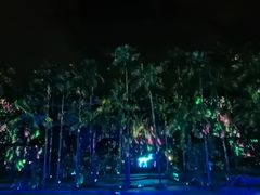 -三亚红色娘子军演艺公园景区