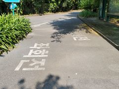 -南沙蒲洲花园