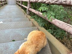 -北京凤凰岭