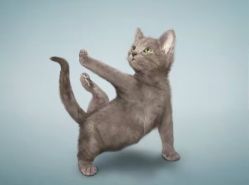 -JC·YOGA静禅瑜伽普拉提