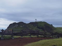 -涉地可支