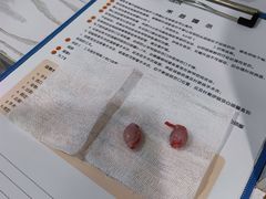 -纳吉亚猫专科动物医院·北北分院