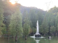 -广州市帽峰山景区