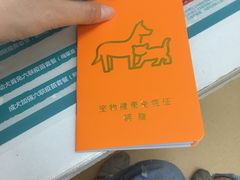 -伟伟宠物医院·瑞派猫友好医院·猫科(光谷店)