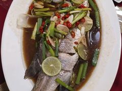 -Daddy Nimman Chiang Mai