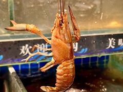 -熊记虾王·小龙虾(东晓南店)