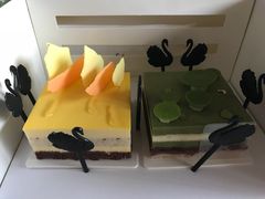 -BLACKSWAN黑天鹅(环球店)