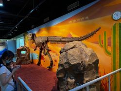 -北京科学中心儿童乐园