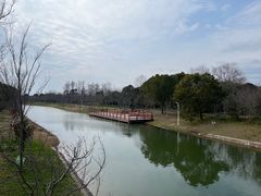 -上海海湾国家森林公园