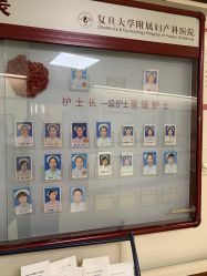 -复旦大学附属妇产科医院(杨浦院区)