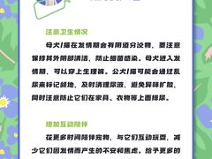 -瑞派申生动物医院·24H夜诊·国际动物医疗中心·骨外科(吴中路店)