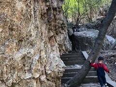 -大连天门山国家森林公园