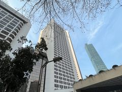 -南京金陵饭店