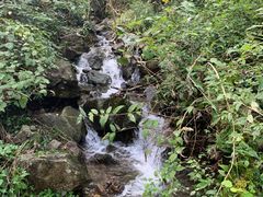 -宁波五龙潭景区