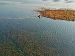 -苏州太湖国家湿地公园
