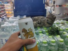 -7-Eleven(don mueang international airport)