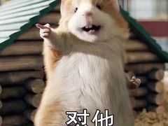 -温粥人(春晖路店)