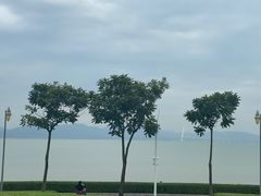 -深圳湾公园(南山区)