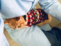 -百信宠物医院(东升街店)